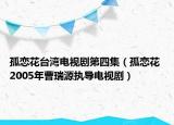 孤恋花台湾电视剧第四集（孤恋花 2005年曹瑞源执导电视剧）