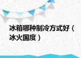 冰箱哪种制冷方式好（冰火国度）