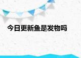 今日更新鱼是发物吗