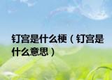 钉宫是什么梗（钉宫是什么意思）