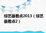 综艺最看点2013（综艺最看点2）