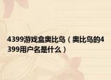 4399游戏盒奥比岛（奥比岛的4399用户名是什么）