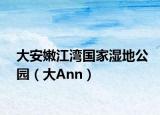 大安嫩江湾国家湿地公园（大Ann）