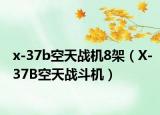 x-37b空天战机8架（X-37B空天战斗机）