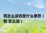 鹗怎么读音是什么意思（鹗 怎么读）
