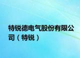 特锐德电气股份有限公司（特锐）