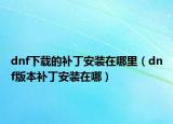 dnf下载的补丁安装在哪里（dnf版本补丁安装在哪）