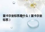 笛卡尔坐标系是什么（笛卡尔坐标系）