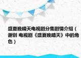盛夏晚晴天电视剧分集剧情介绍（谢创 电视剧《盛夏晚晴天》中的角色）