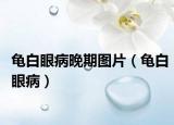 龟白眼病晚期图片（龟白眼病）