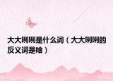 大大咧咧是什么词（大大咧咧的反义词是啥）
