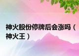 神火股份停牌后会涨吗（神火王）