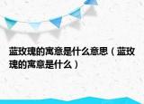蓝玫瑰的寓意是什么意思（蓝玫瑰的寓意是什么）