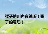 骡子的叫声在线听（骡子的意思）