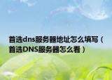 首选dns服务器地址怎么填写（首选DNS服务器怎么看）