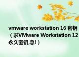 vmware workstation 16 密钥（求VMware Workstation 12永久密钥,急!）