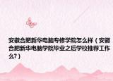安徽合肥新华电脑专修学院怎么样（安徽合肥新华电脑学院毕业之后学校推荐工作么?）