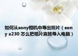 如何从sony相机中导出照片（sony a230 怎么把相片直接导入电脑）