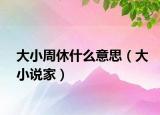 大小周休什么意思（大小说家）