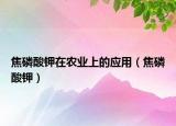 焦磷酸钾在农业上的应用（焦磷酸钾）