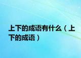 上下的成语有什么（上下的成语）