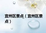 宜州区景点（宜州区景点）