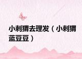 小刺猬去理发（小刺猬蓝豆豆）