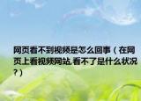 网页看不到视频是怎么回事（在网页上看视频网站,看不了是什么状况?）
