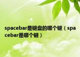 spacebar是键盘的哪个键（spacebar是哪个键）