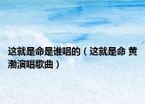 这就是命是谁唱的（这就是命 黄渤演唱歌曲）