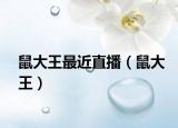 鼠大王最近直播（鼠大王）