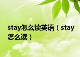 stay怎么读英语（stay怎么读）