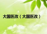 大国医改（大国医改）