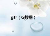 gtr（G数据）