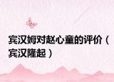 宾汉姆对赵心童的评价（宾汉隆起）