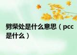 劈柴处是什么意思（pcc是什么）