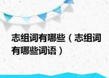志组词有哪些（志组词有哪些词语）