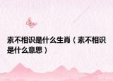 素不相识是什么生肖（素不相识是什么意思）
