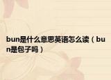 bun是什么意思英语怎么读（bun是包子吗）