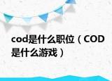 cod是什么职位（COD是什么游戏）