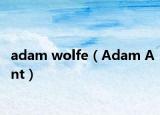 adam wolfe（Adam Ant）