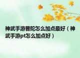 神武手游普陀怎么加点最好（神武手游pt怎么加点好）