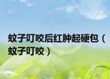 蚊子叮咬后红肿起硬包（蚊子叮咬）