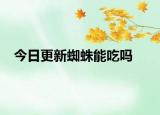 今日更新蜘蛛能吃吗