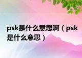 psk是什么意思啊（psk是什么意思）