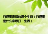 扫把星是指的哪个生肖（扫把星是什么意思打一生肖）