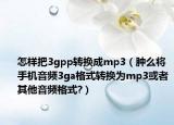 怎样把3gpp转换成mp3（肿么将手机音频3ga格式转换为mp3或者其他音频格式?）