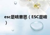 esc是啥意思（ESC是啥）