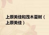 上原美佳和茂木夏树（上原美佳）