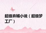 超级弃婿小说（超级梦工厂）